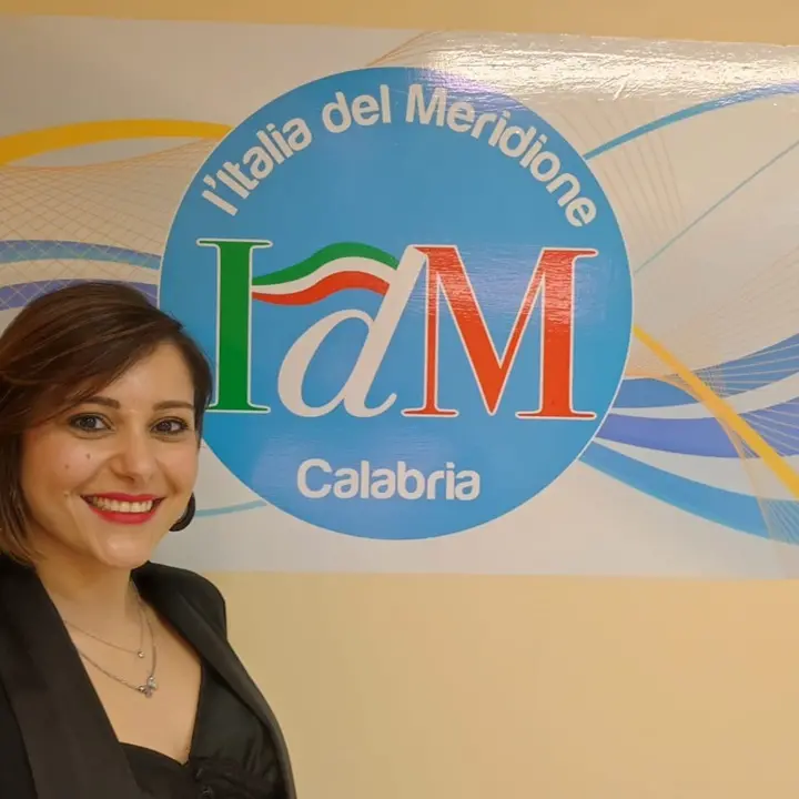 Italia del Meridione vuole tornare al voto per la Provincia di Cosenza