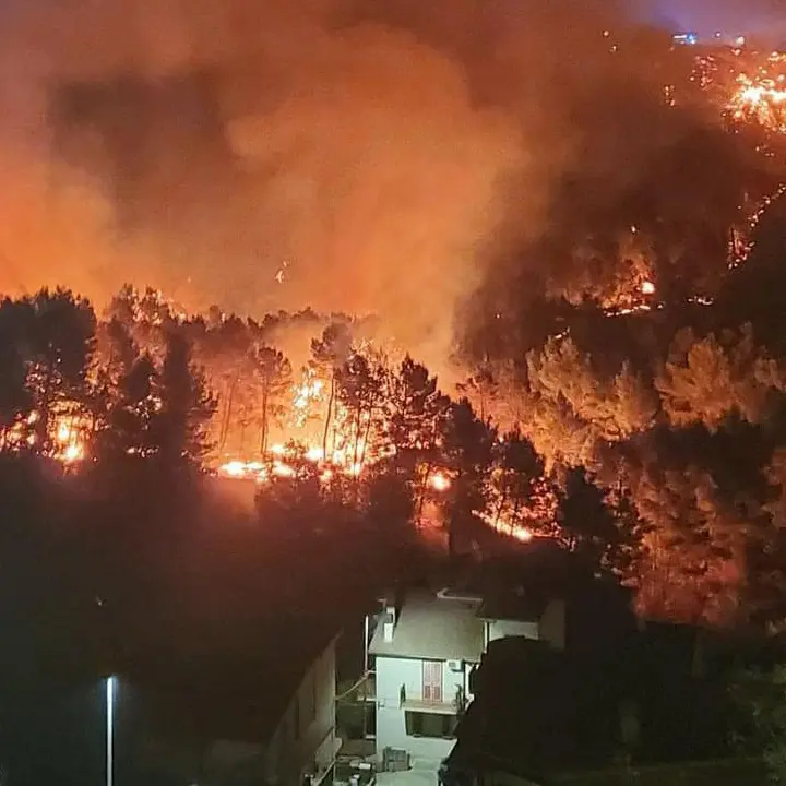 Santa Maria del Cedro, un'ordinanza per prevenire gli incendi