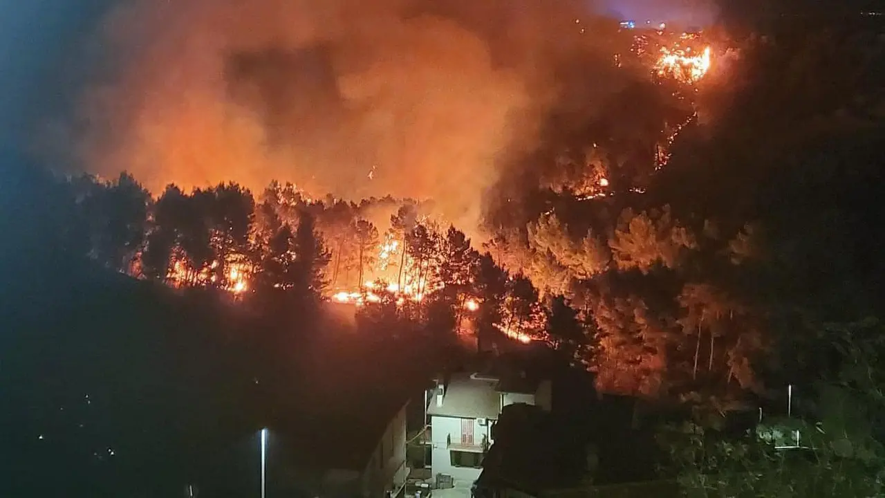 Santa Maria del Cedro, un'ordinanza per prevenire gli incendi