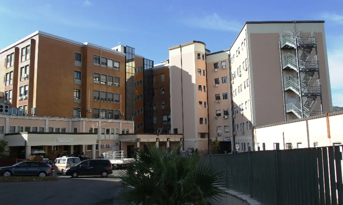Topi in ospedale, chiuso il reparto di Pediatria del \"Compagna\" di Corigliano
